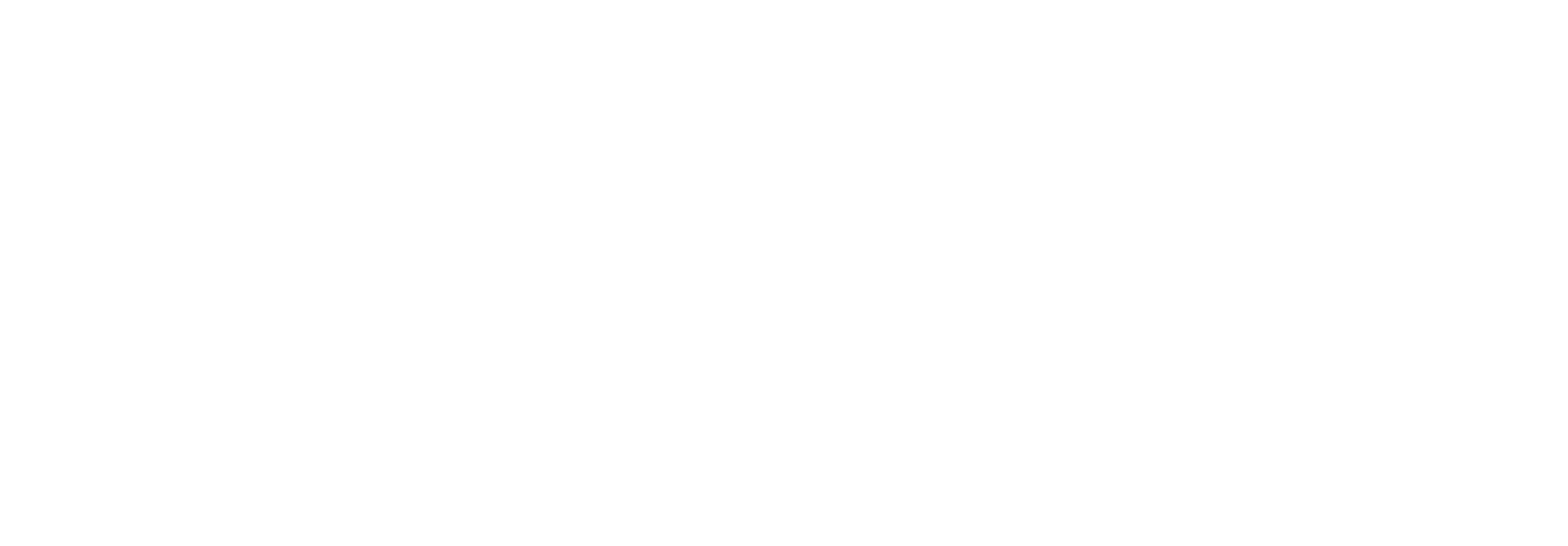 Webflow Partner